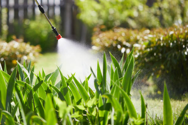 24/7 Emergency Termite Control experts in Grayson, CA